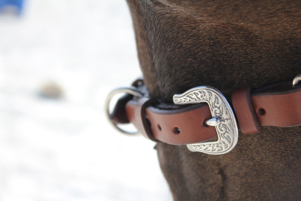 Kappzaum_Barock-Tausendschön