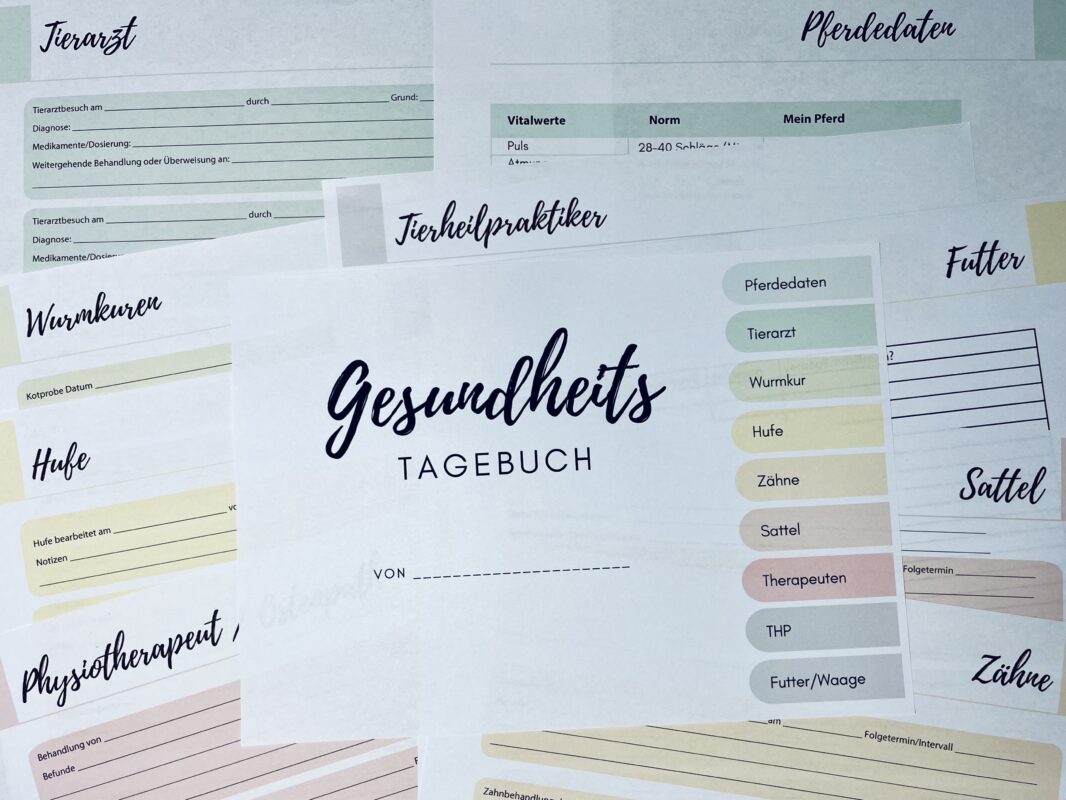 Gesundheits-Tagebuch für Pferde Download