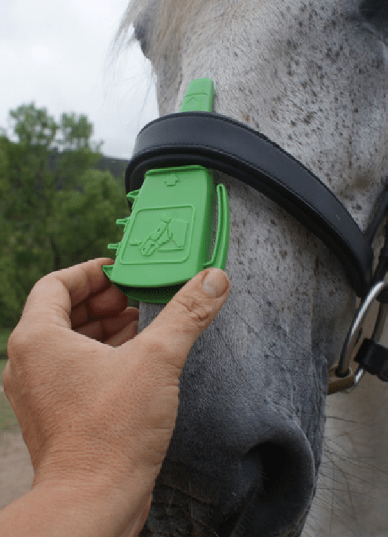 ISES-noseband taper gauge Photo-by-Cristina-Wilkins
