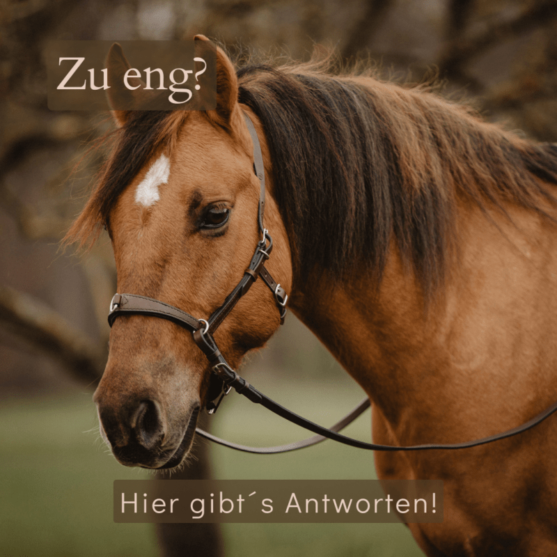 Kappzaum wie eng Antworten FB