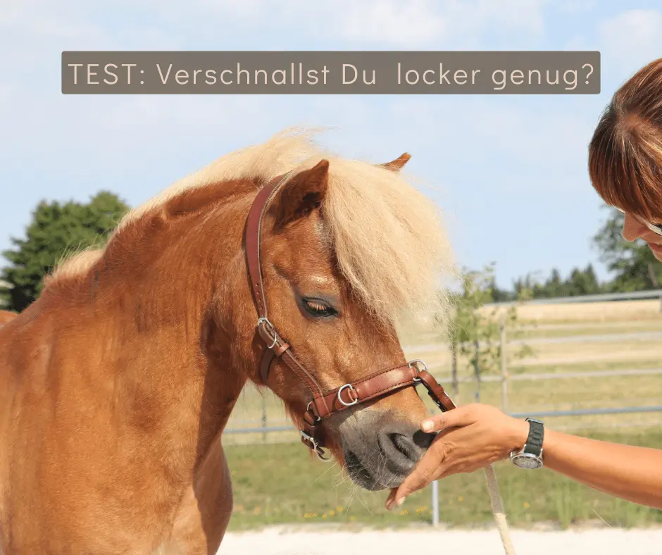 Kappzaum Test