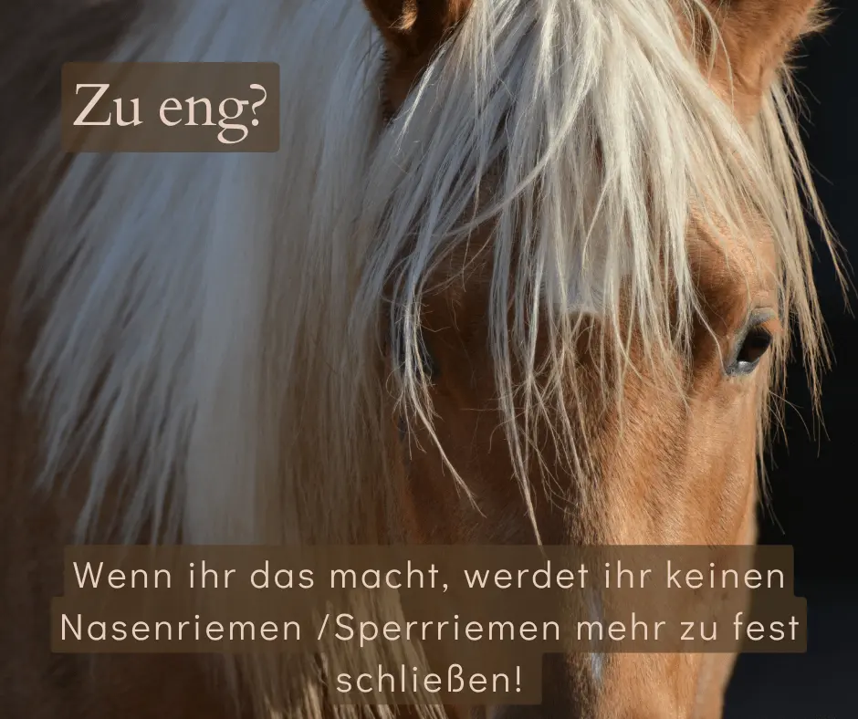 Sperrriemen zu eng - Selbstversuch Sperrriemen